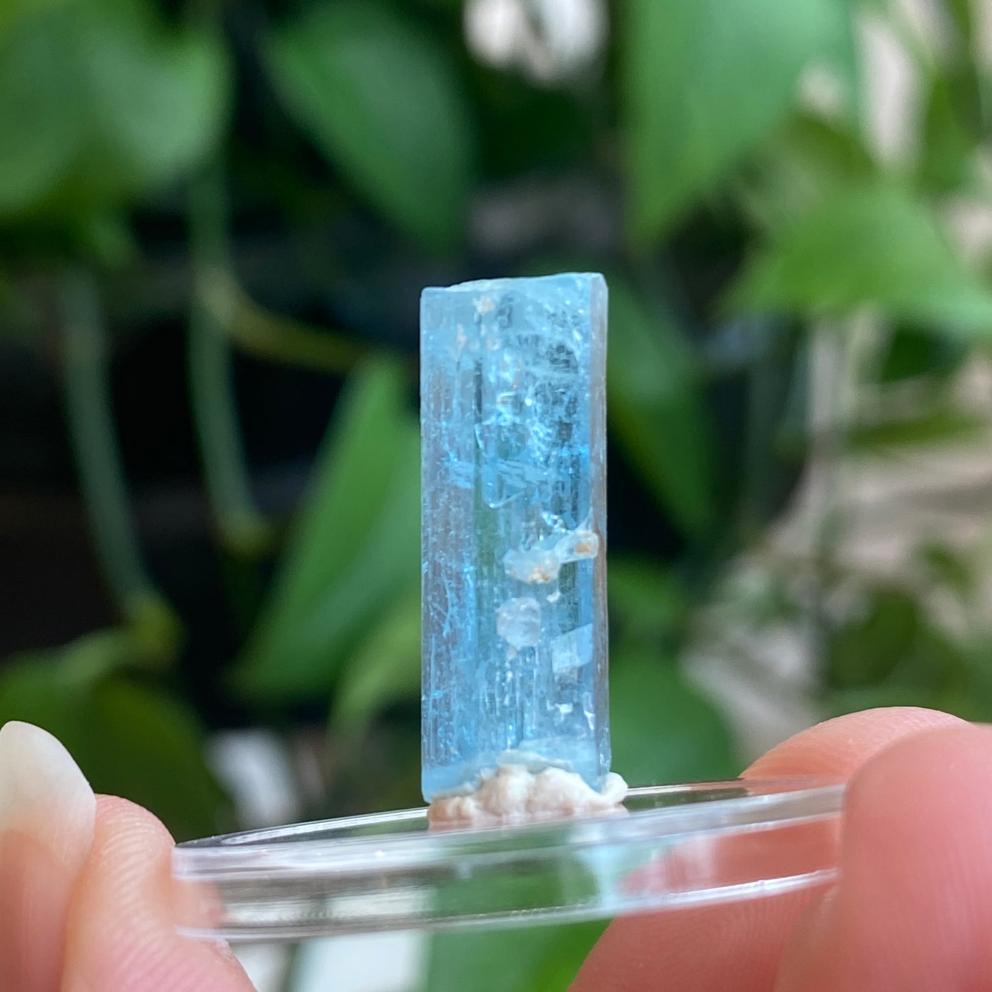 Aquamarine Specimen, Mozambique, Sky Blue