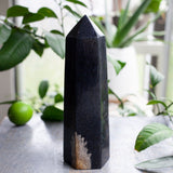 Petrified Palm Wood Tower