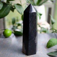 Petrified Palm Wood Tower