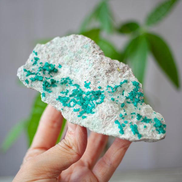 Dioptase from Argentina