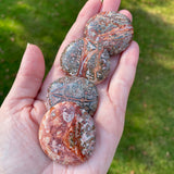 Leopard Skin Jasper Worry Stone