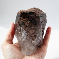 Lodolite, Garden Quartz