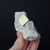 Pyrite Cubes in Matrix from Navajun Spain