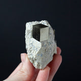 Pyrite Cubes in Matrix from Navajun Spain