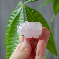 Rose Quartz Pig Spirit Animal