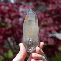 Raw Smoky Quartz Phantom Point with Tourmaline from Namibia