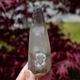 Raw Smoky Quartz Phantom Point with Tourmaline from Namibia