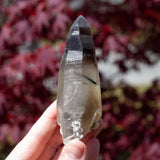 Raw Smoky Quartz Phantom Point with Tourmaline from Namibia