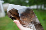 Xl Smoky Quartz Lodolite with Phantoms