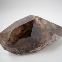 Xl Smoky Quartz Lodolite with Phantoms