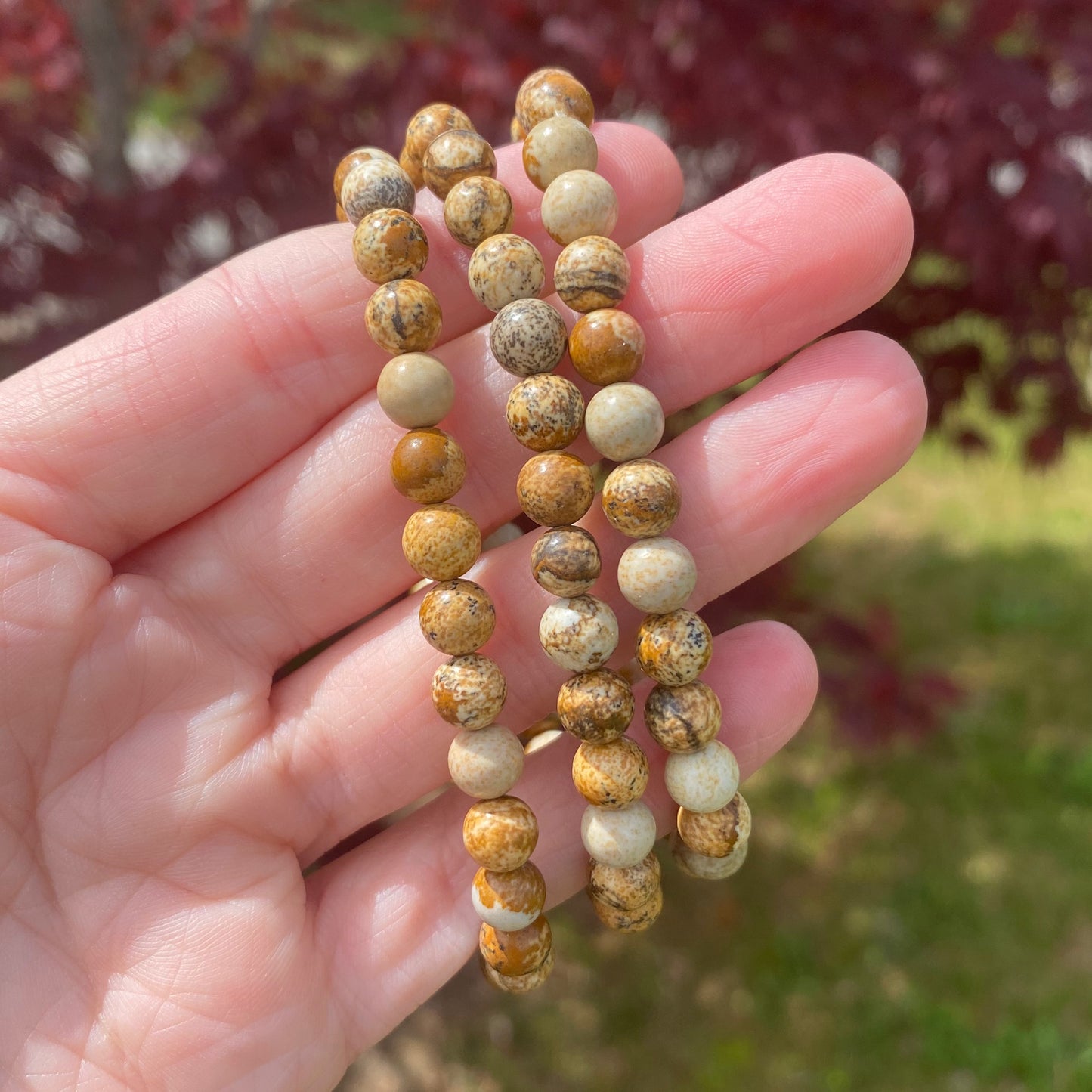 Picture Jasper Bracelet, 6mm