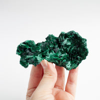 Fibrous Malachite Crystal, Collectible/Museum Grade