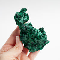 Fibrous Malachite Crystal, Collectible/Museum Grade