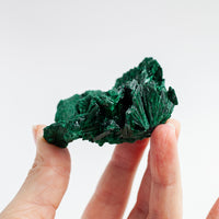Fibrous Malachite Crystal