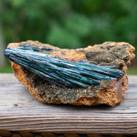Viviante on Matrix, Rare Find