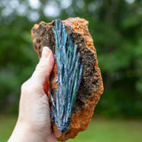 Viviante on Matrix, Rare Find
